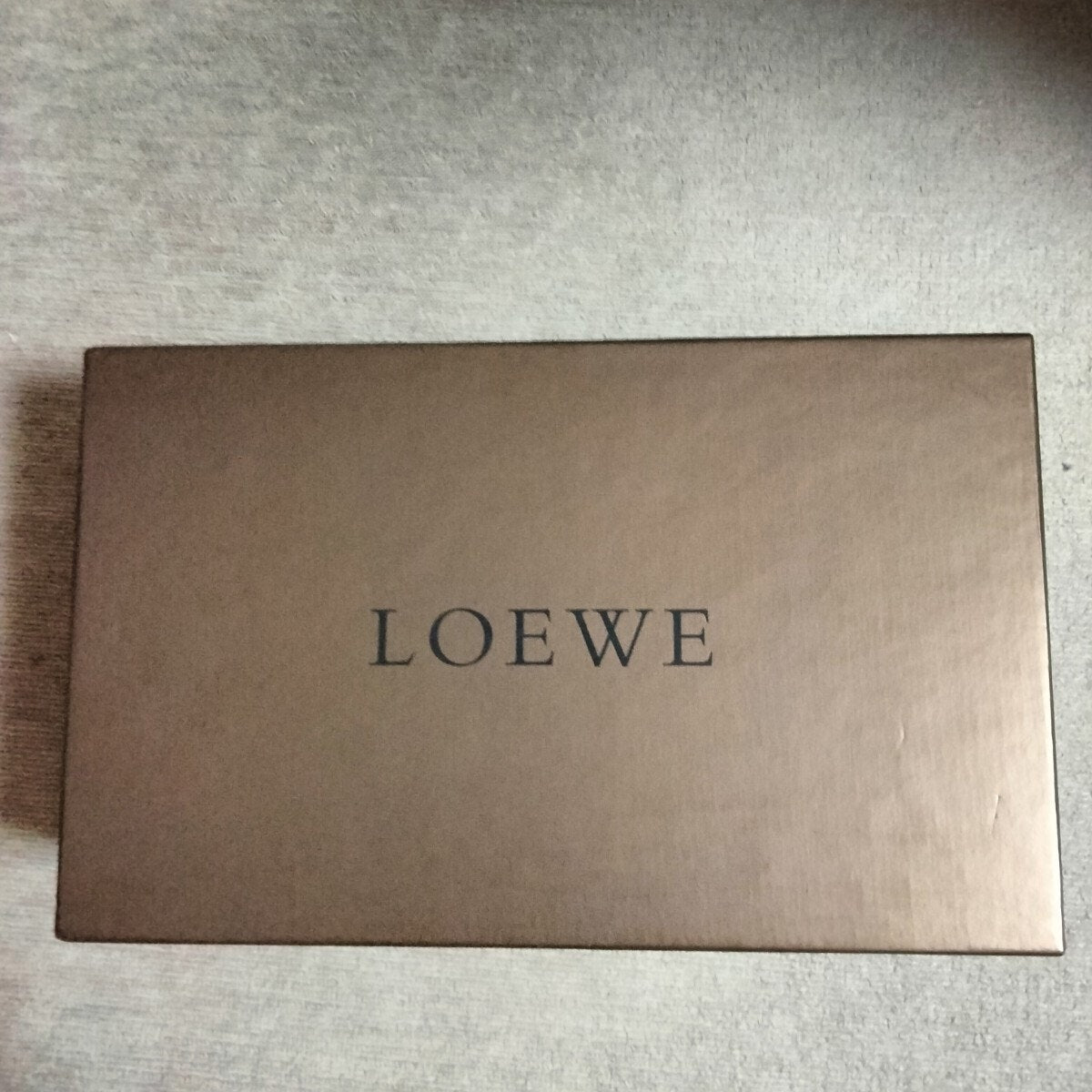 LOEWE Mohair Wool Gradient Scarf