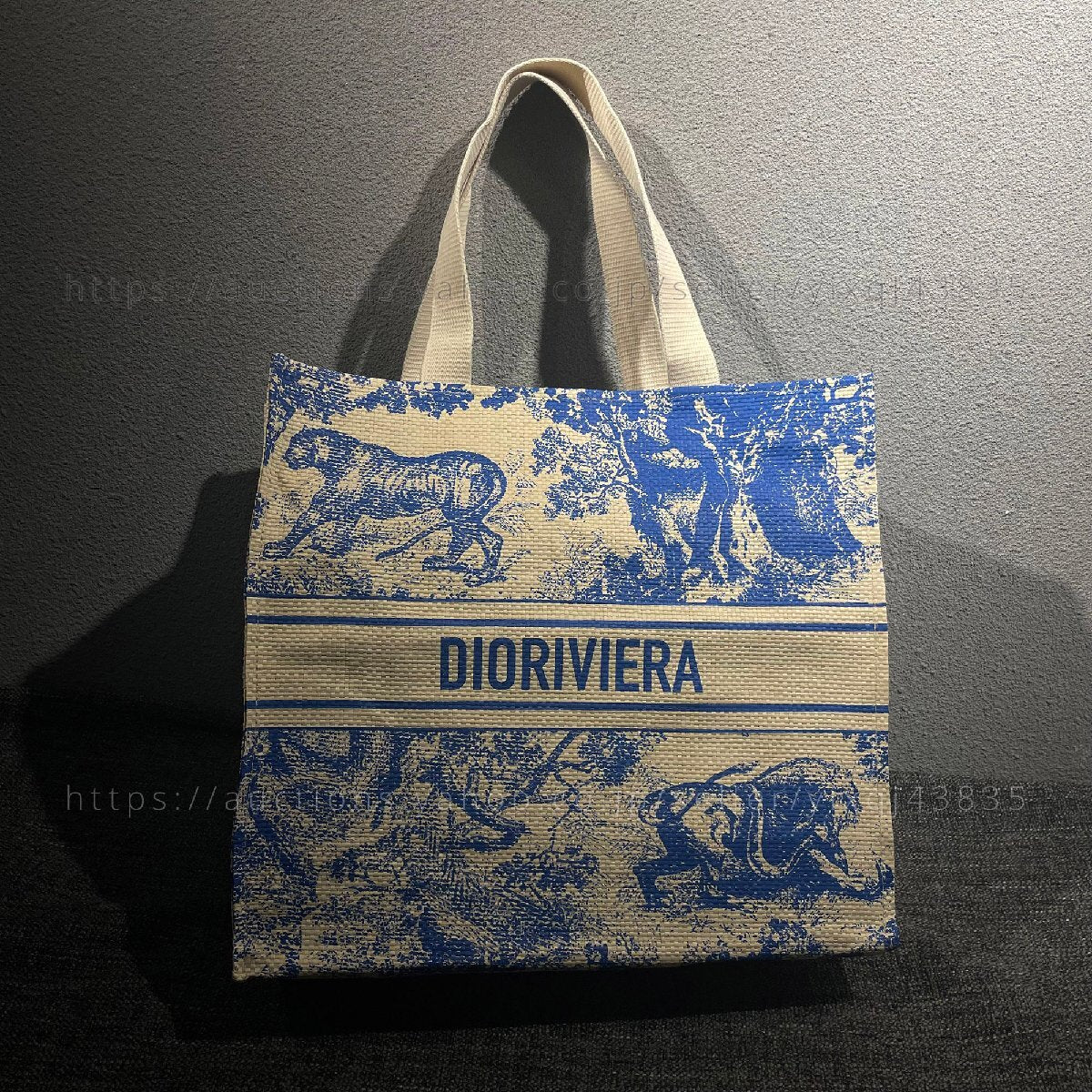 Dior VIP Woven Tote Bag